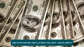 استقرار مستمر.. الدولار يثبت قيمته في البنوك مع نهاية جلسة اليوم